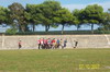 thumb_100_1333.jpg